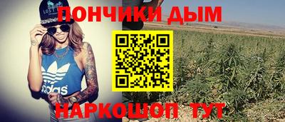 PSILOCYBIN Кингисепп