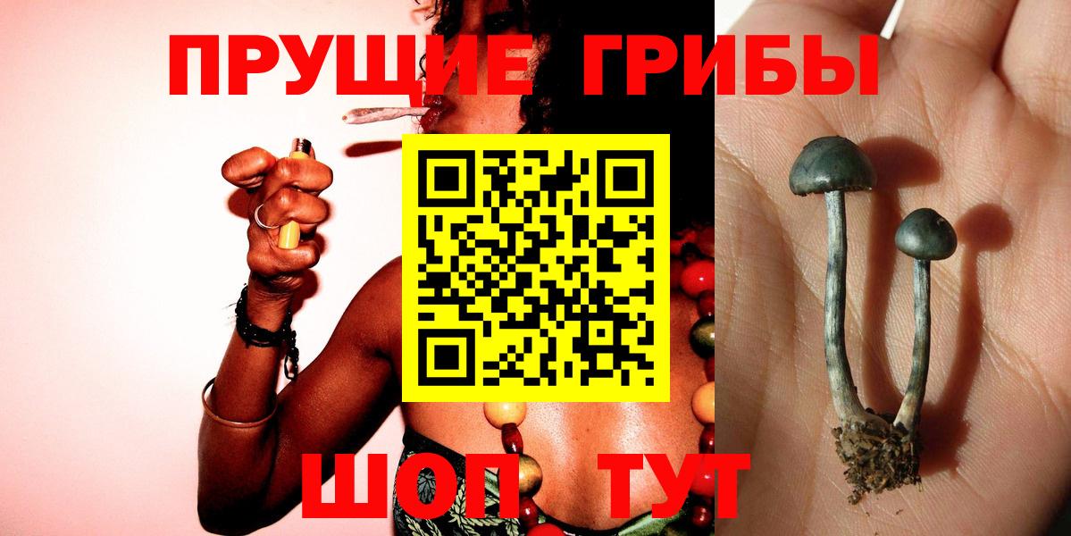 Псилоцибиновые грибы Cubensis Ейск
